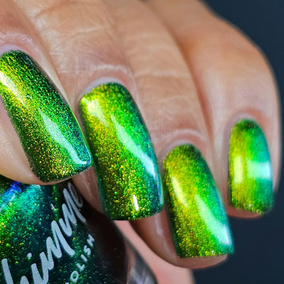 KBShimmer - In A Pickle