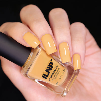 ILNP - Honeybee
