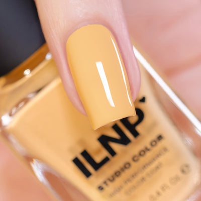 ILNP - Honeybee