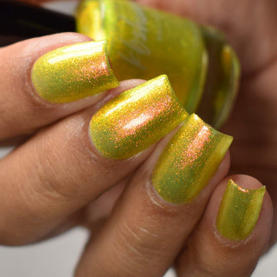 KBShimmer - Bumbling Around