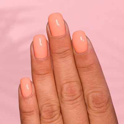 ILNP - Beach Bum