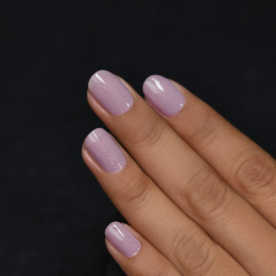 ILNP - Internship