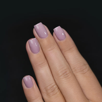 ILNP - Internship