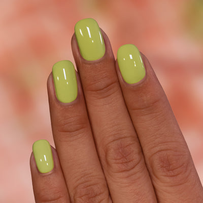 ILNP - Pistachio