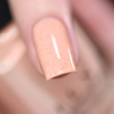 ILNP - Cottontail