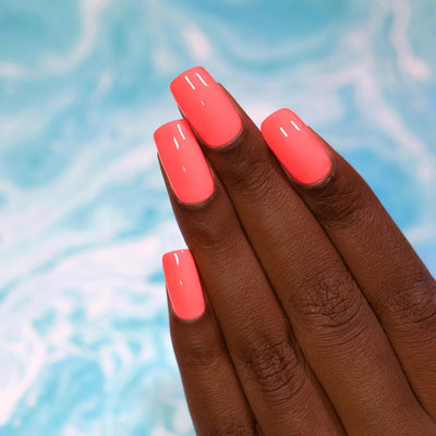 ILNP - Summer
