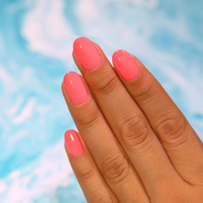 ILNP - Summer