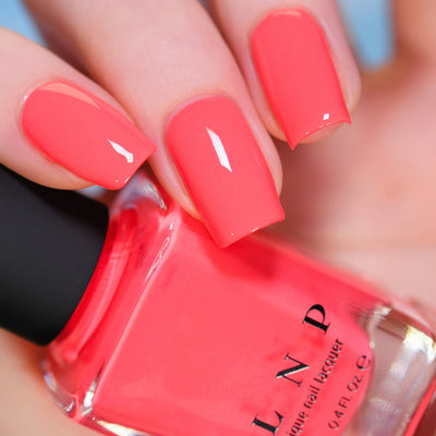 ILNP - Summer