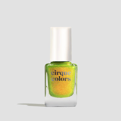 *PRE-SALE* Cirque Colors - All In