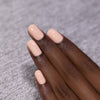 ILNP - Cottontail