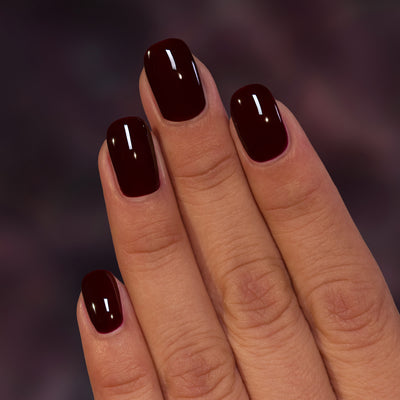 ILNP - Dahlia