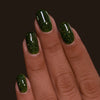 *PRE-SALE* ILNP - Forest Drive