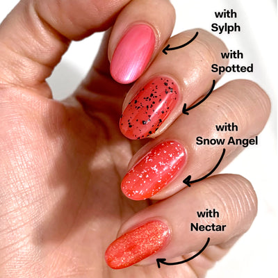 *PRE-SALE* Cirque Colors - Poppy Jelly