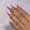 ILNP - Heather