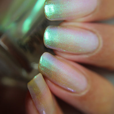 *PRE-ORDER* Emily de Molly - Transport