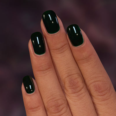 ILNP - Ivy