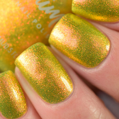 KBShimmer - Bumbling Around