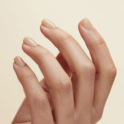 *PRE-SALE* Cirque Colors - Lumière
