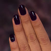 ILNP - Nightshade