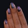 ILNP - Orbit