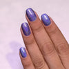 ILNP - Sidekick