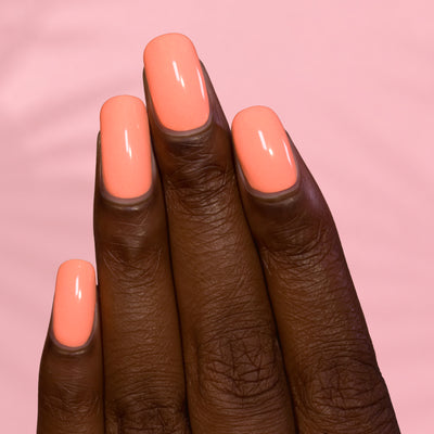 ILNP - Beach Bum