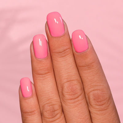 ILNP - Flip Flops