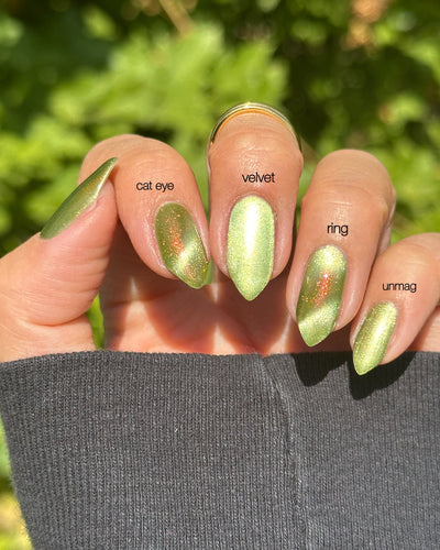 *PRE-ORDER* Bee's Knees Lacquer - This One is Declined (Magnetic)