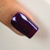 Bee's Knees Lacquer - Dark Justiciar