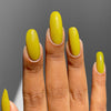 *PRE-SALE* Cirque Colors - Hustle