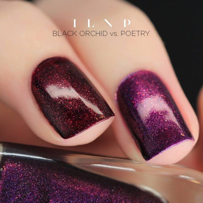ILNP - Black Orchid