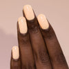 ILNP - Milk Tea