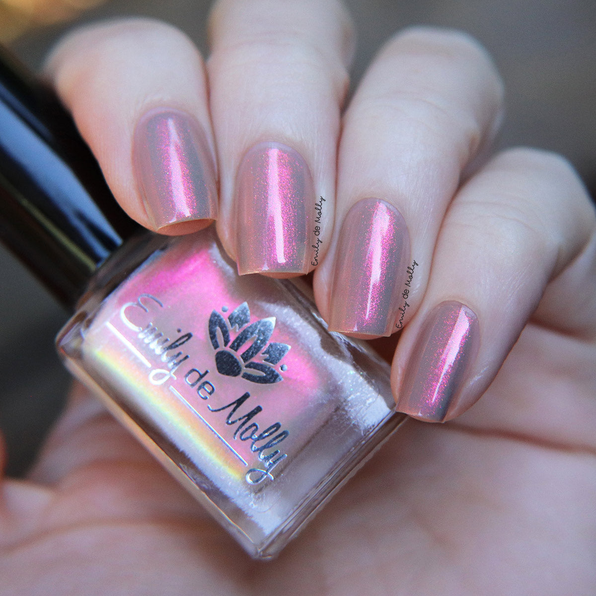 Emily de Molly - Pinkie Swear