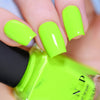 ILNP - Playlist