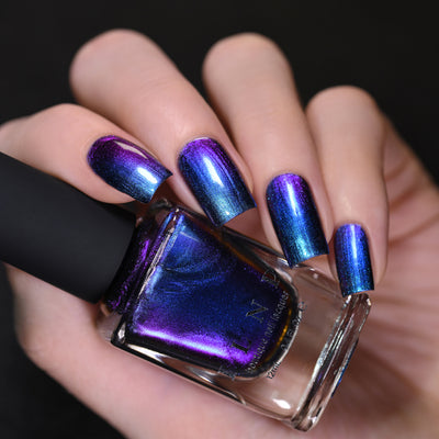 ILNP - Shockwave