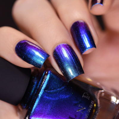 ILNP - Shockwave