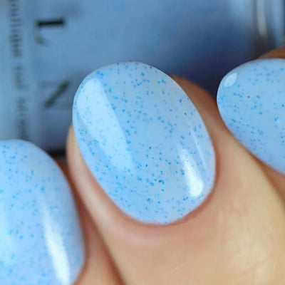 ILNP - Bluebird