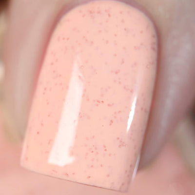 ILNP - Cottontail